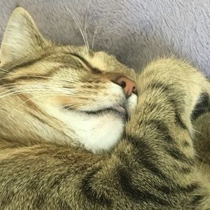 Meet your Posher, Crystal